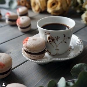 Meet your Posher, Molly